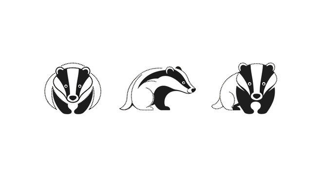 Illustrated badger in three different cute poses black and white.