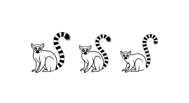Playful Ring Tailed Lemurs Black and White Illustration.