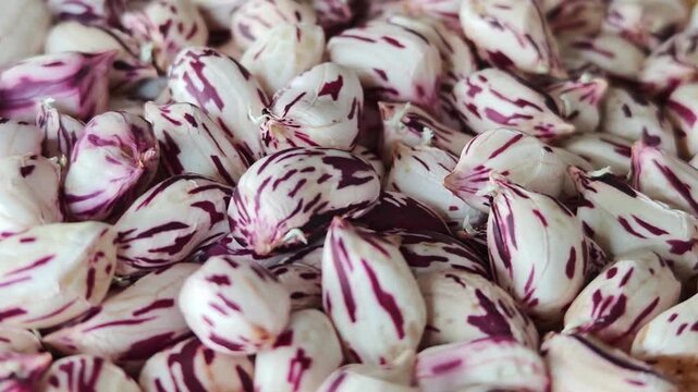 Tiger beans in a container.