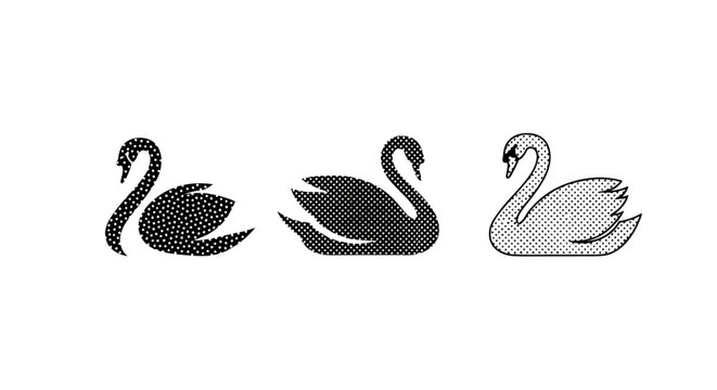 Three stylized swan illustrations in different artistic techniques.