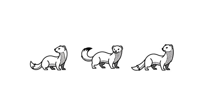 Playful cartoon illustrations of three curious weasels standing.