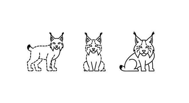 Illustrated Lynx Cats in Three Distinct Poses.