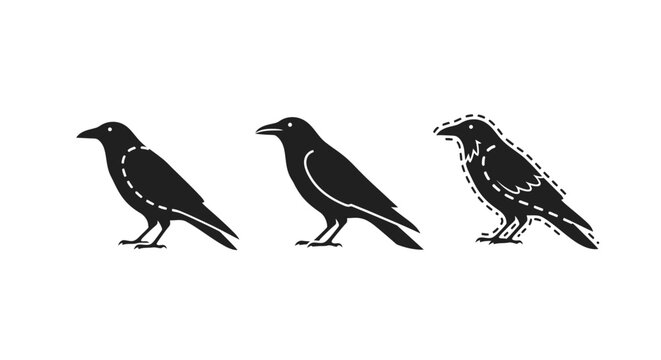Three Black Crow Illustrations with Unique Line Patterns.