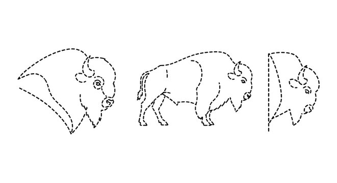 Dotted Outline Illustrations of Buffalo Animal Heads and Body.