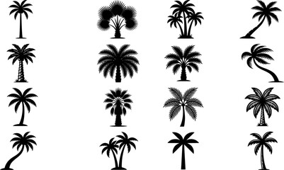 Fototapeta premium Palm Tree Silhouette Collection Vector Set with Tropical Island Coconut Trees and Summer Beach Designs