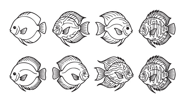 Set of hand drawn discus fish illustrations with handdrawn illustration wildlife tropical aquarium swimming underwater monochrome engraving collection detailed freshwater ornamental