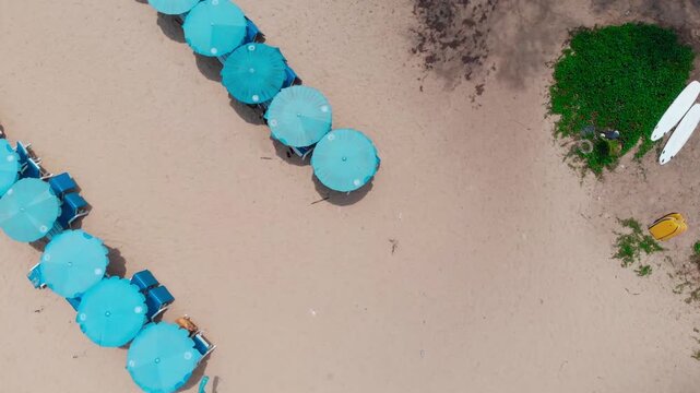 Aerial view of tropical beach with rows of blue umbrellas and white sand