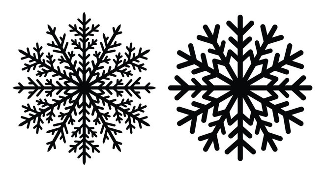 Two detailed snowflake silhouettes against a white background showcasing intricate crystalline structures silhouette snowflakes snow crystal