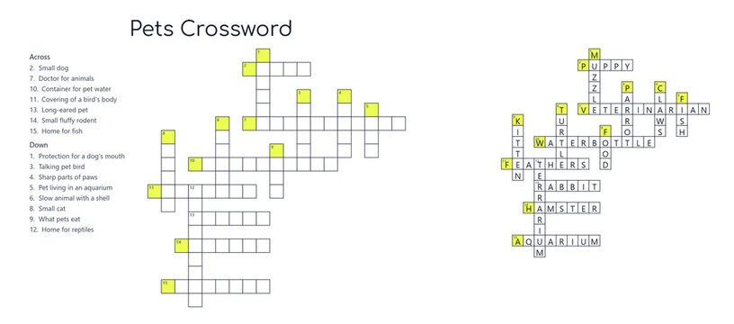 Crossword with answers about pets and domestic animals on transparent background