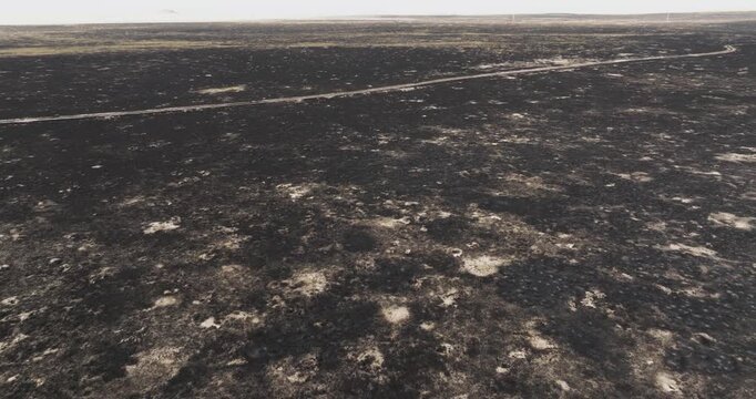 Aerial view of a burnt landscape