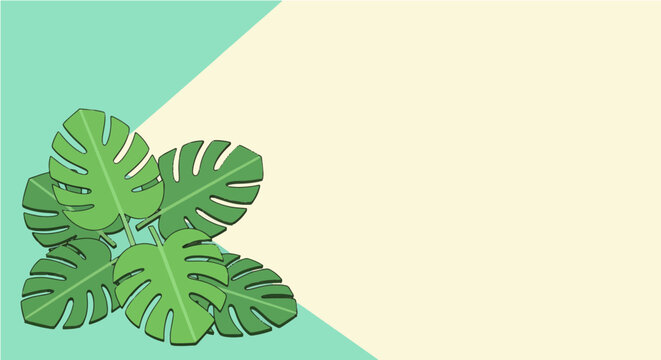 Monstera Deliciosa Leaves on Pastel Green and Yellow Background