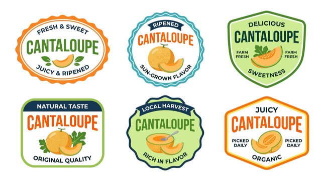 Cantaloupe fruit label set featuring organic melon illustrations for food packaging and healthy market branding designs