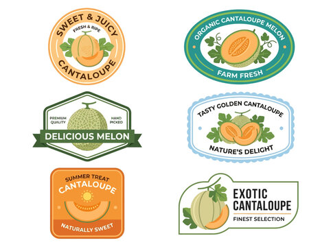 Cantaloupe melon logo collection featuring fresh organic fruit designs for healthy food branding and marketing projects
