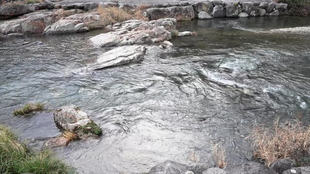 Fukagawa River flowing rapidly from right to left after rain in early spring, Nagato Yumoto Onsen, Yamaguchi, Japan