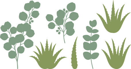 Collection of minimalist green eucalyptus branches and aloe vera plant silhouettes perfect for natural decor branding or web design elements © junaid