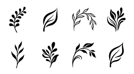 Botanical Elements Collection: Hand-drawn Leaves & Twigs Vector Icons © Labib