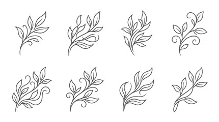 Hand-drawn floral elements, elegant leaf branches, decorative botanical swirls © Labib