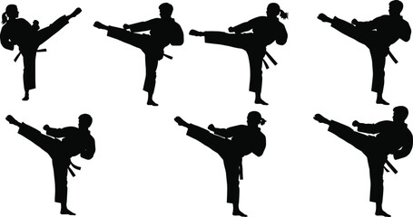 Martial arts silhouette vector — high kick poses, karate taekwondo stances, combat icons © allustra