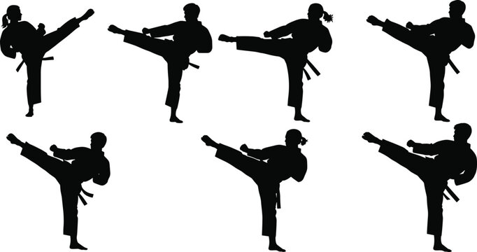 Martial arts silhouette vector &mdash; high kick poses, karate taekwondo stances, combat icons