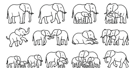 Minimalist elephant line art collection, hand drawn black and white elephant family icons, cute safari animal vector set for coloring books © Noman