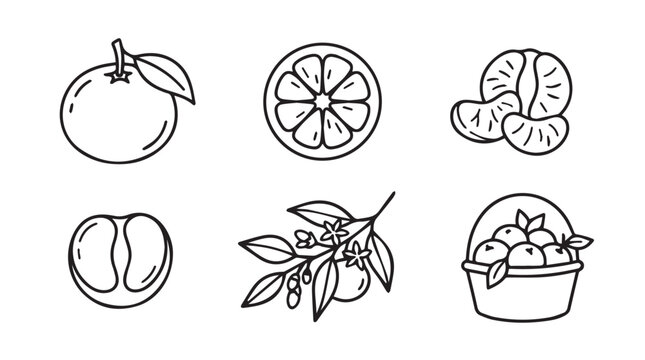 Citrus fruit clementine orange hand drawn icon set with clementine mandarin illustration isolated nutrition ingredient collection tropical segments refreshment