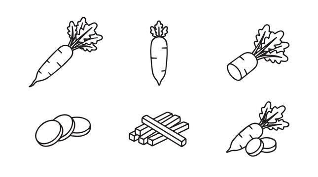 Daikon radish vegetable line art icon set including whole root slices and sticks with vegetable ingredient illustration monochrome collection isolated nutrition vegetarian agriculture