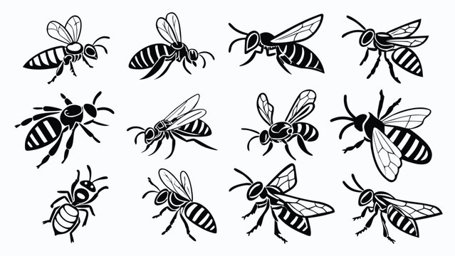 Vector illustration of a set of hand drawn bee sketches in various flight poses and angles with wildlife