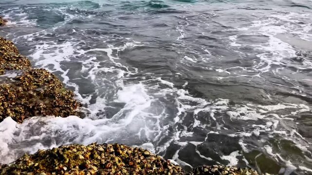 A close-up of sea waves crashing against a rocky coastline covered in mussels and barnacles. The natural texture of the ocean shore and the power of the sea.