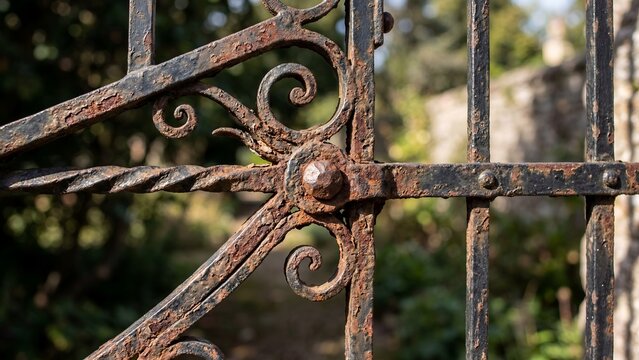Old rusty wrought iron gate fragment with ornate decorative scrolls