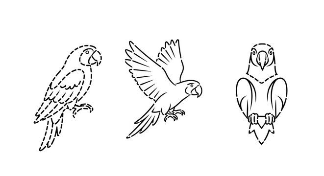 Illustrated parrots in various dynamic and static poses.