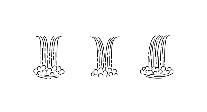 Illustrative diagrams of different root structures in plants.