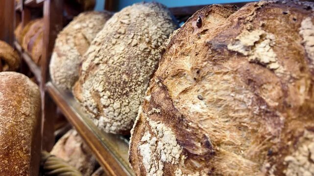 Fresh bread on display at local bakery in the morning