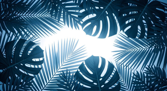 Monstera and palm leaves backlit, bright light