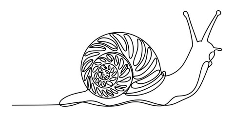 Continuous line drawing of a snail © Alzin