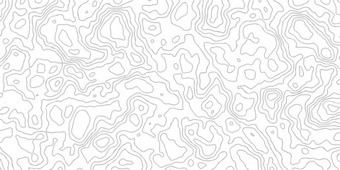 Fototapeta premium Minimalist grey topographic contour lines pattern on white background for clean modern interface and digital design aesthetics.