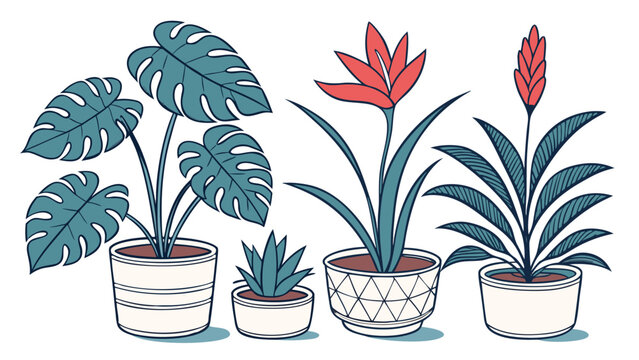 Vector illustration of various potted houseplants including monsteras and flowering plants with houseplant