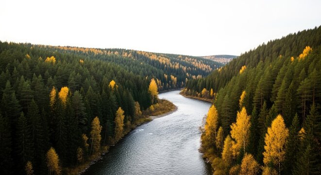 Winding river flowing through dense autumn forest landscape