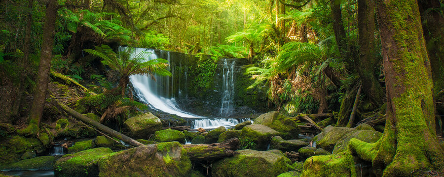 Horseshoe Falls in Mount Field National Park