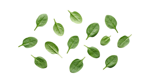 Scatter of spinach leaves flat lay