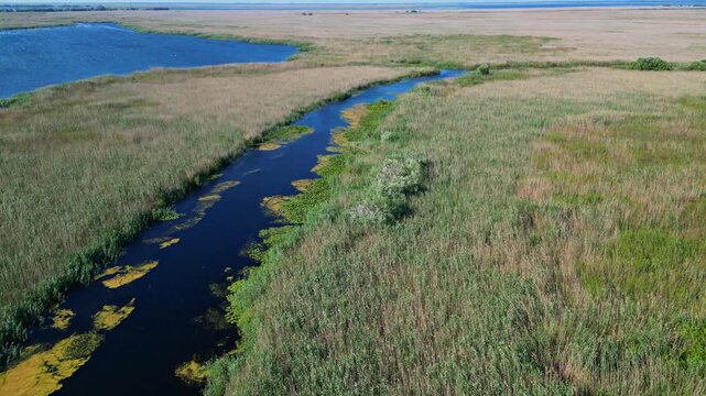 High angle panoramic flyover of the Danube Delta UNESCO biosphere reserve in Romania. Scenic wild landscape with colorful reed vegetation, natural lakes, and winding water channels.