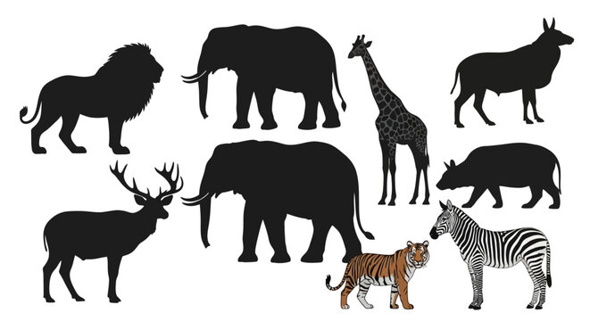 Wildlife animals including lion elephant giraffe zebra tiger on white background silhouettes and realistic illustrations