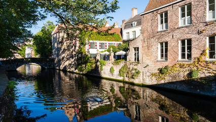 Obraz premium Swans and Buildings on Bruges Canal