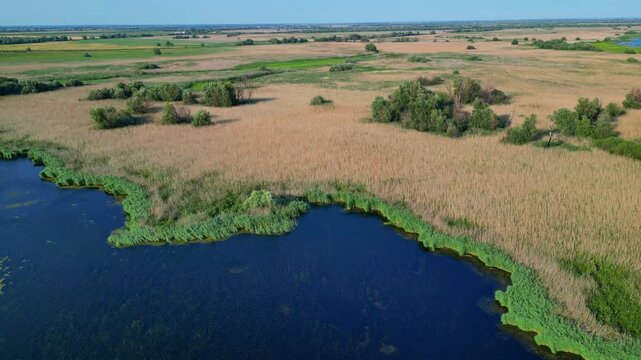 High angle panoramic flyover of the Danube Delta UNESCO biosphere reserve in Romania. Scenic wild landscape with colorful reed vegetation, natural lakes, and winding water channels.