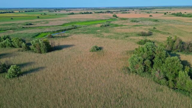 High angle panoramic flyover of the Danube Delta UNESCO biosphere reserve in Romania. Scenic wild landscape with colorful reed vegetation, natural lakes, and winding water channels.
