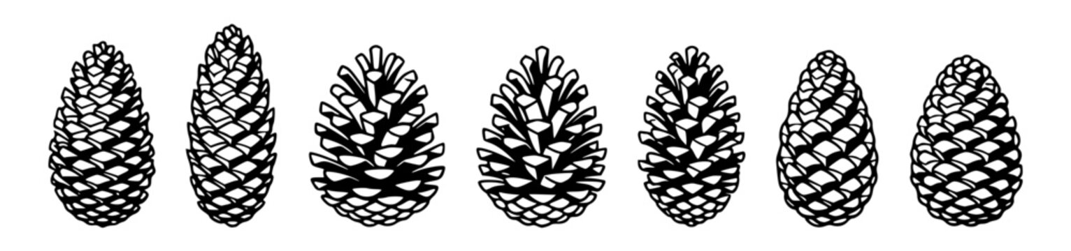 Black and white illustration of seven pine cones in a row