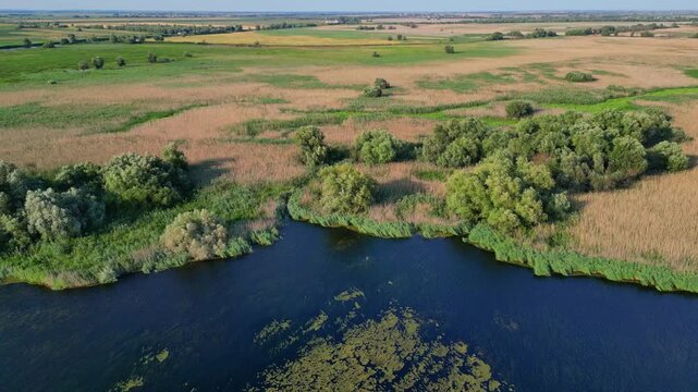 High angle panoramic flyover of the Danube Delta UNESCO biosphere reserve in Romania. Scenic wild landscape with colorful reed vegetation, natural lakes, and winding water channels.