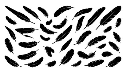 Assorted feather silhouettes vector pack flying bird feather shapes minimalist design isolated white background © Md Humaun