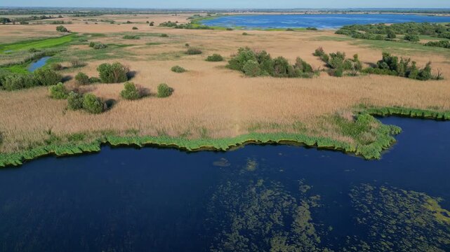 High angle panoramic flyover of the Danube Delta UNESCO biosphere reserve in Romania. Scenic wild landscape with colorful reed vegetation, natural lakes, and winding water channels.