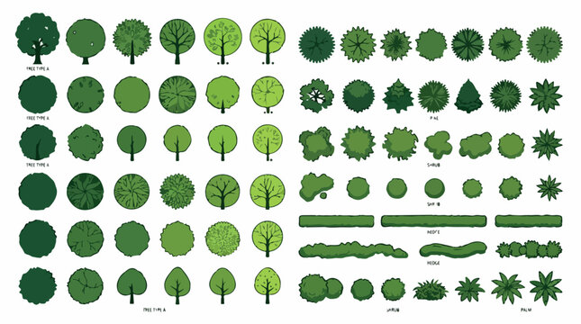 Architectural landscape symbols, flat vector tree plan icons for site mapping, green vegetation and garden shrub collection for masterplan design