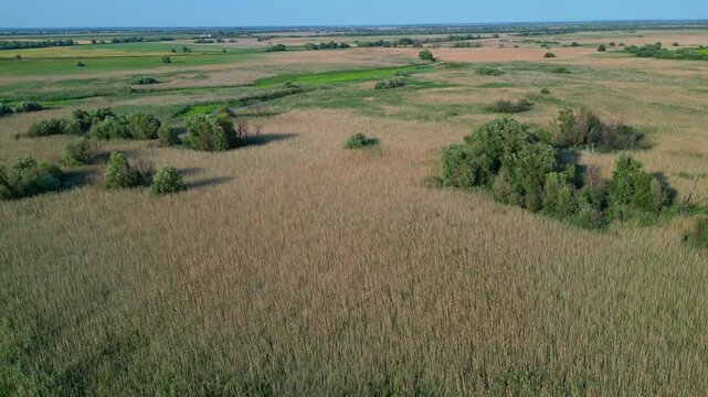 High angle panoramic flyover of the Danube Delta UNESCO biosphere reserve in Romania. Scenic wild landscape with colorful reed vegetation, natural lakes, and winding water channels.